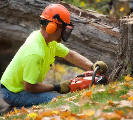 tree services Granite Quarry